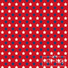 Load image into Gallery viewer, Pete + Lucy Home of the Brave romper
