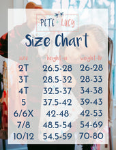 Load image into Gallery viewer, Pete + Lucy Fun on the Farm dress

