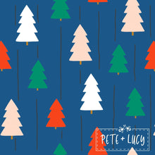 Load image into Gallery viewer, Pete + Lucy Plaid Christmas dress
